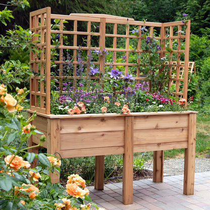 Natural Cedar Elevated Planter with U-Trellis