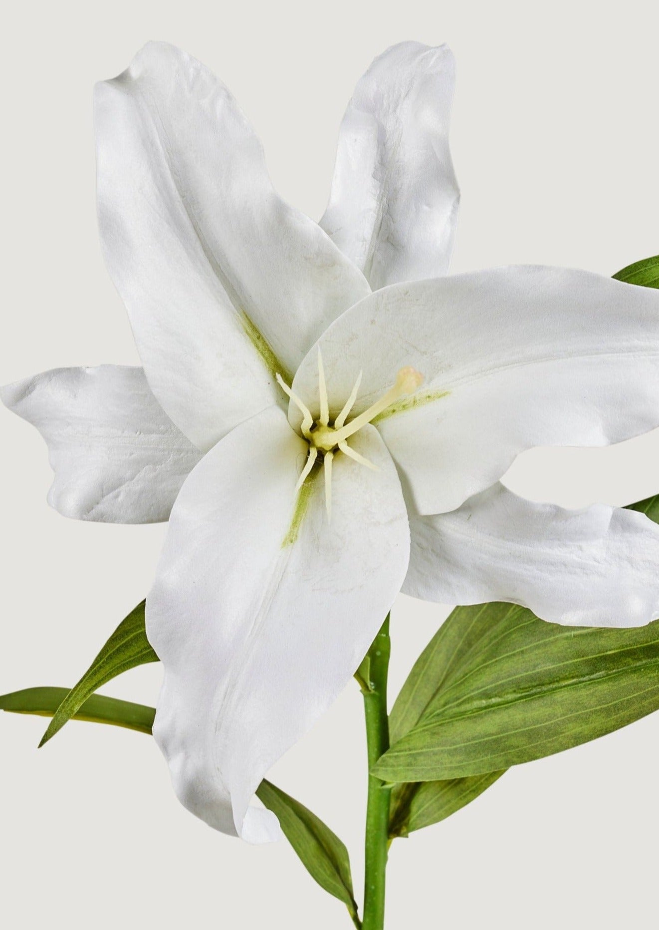 Natural Touch Faux Casablanca Lily Flower in White - 27"