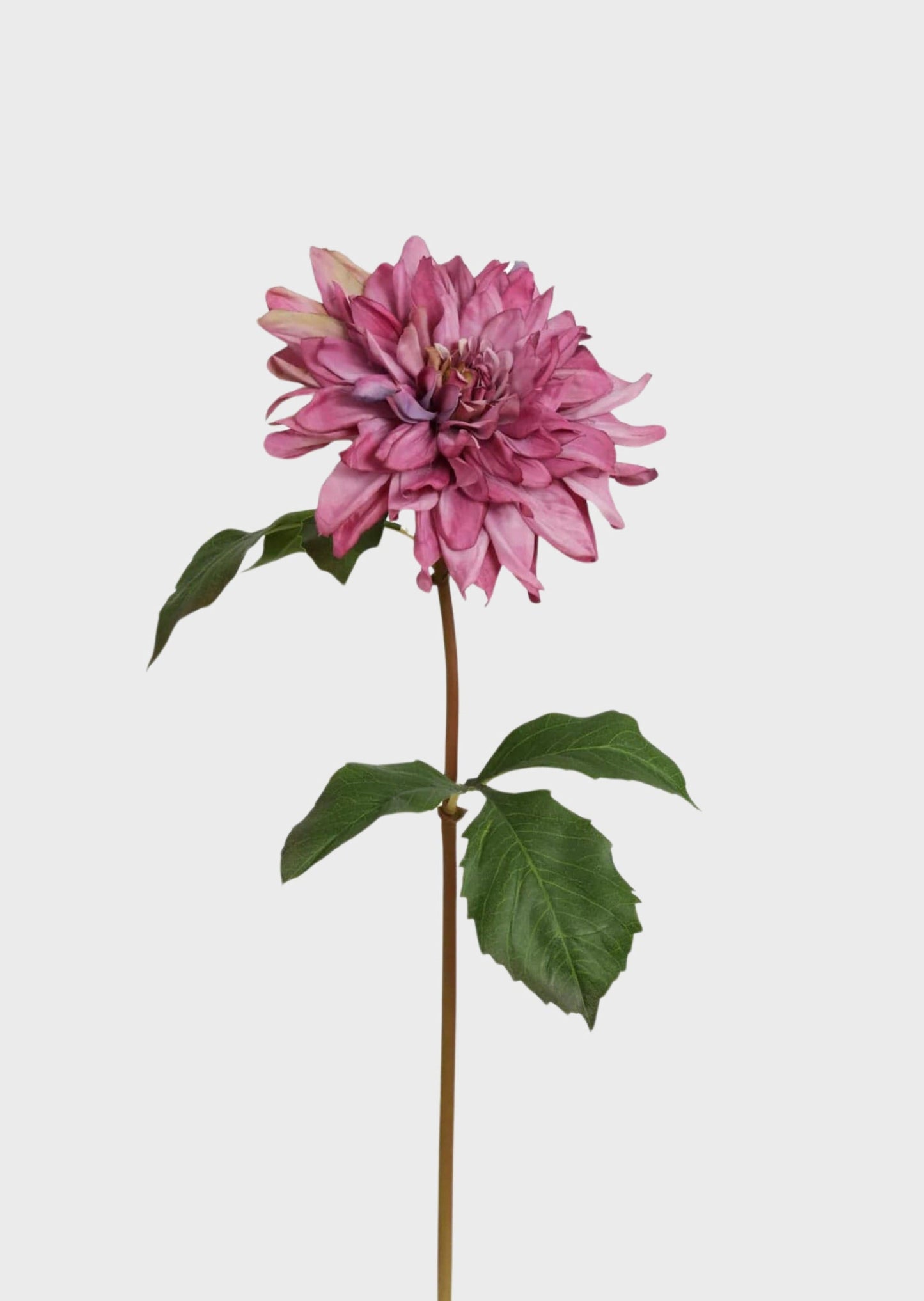 Faux Blooming Garden Dahlia Flower in Mauve - 19"