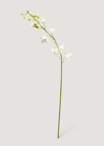 Fake Blooming Dendrobium Orchid Branch in Cream - 37"