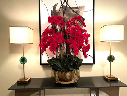 Red Phalaenopsis Orchids Floral Arrangement in Medium Gold Planter