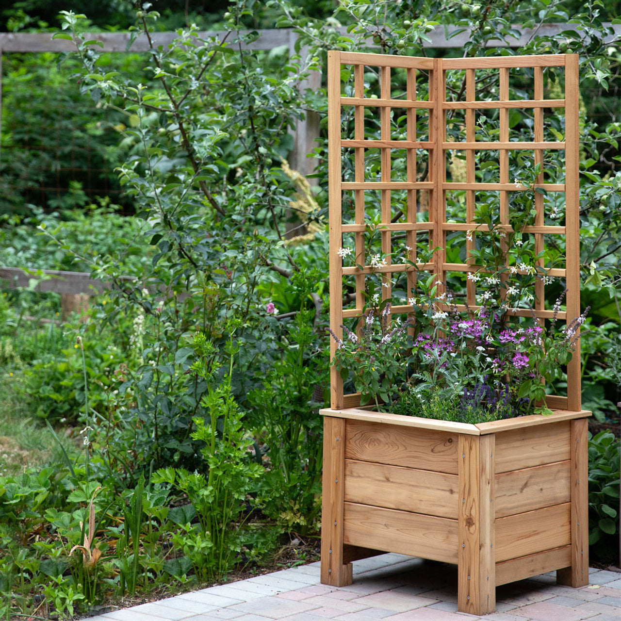 Natural Cedar Planter Box with L-Trellis