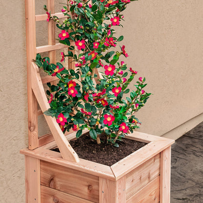 Natural Cedar Planter Box with Trellis