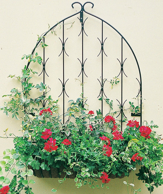 Wall Trellis