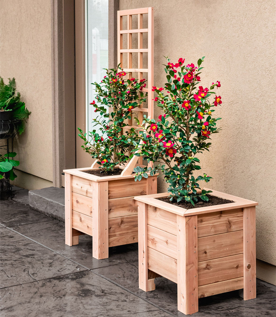 Natural Cedar Planter Box with Trellis