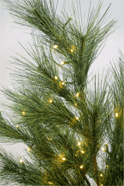 Pine LED Branches (3 Pack)