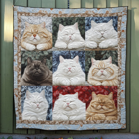 Purrfect Slumber Quilted Blanket NCU0TL1089