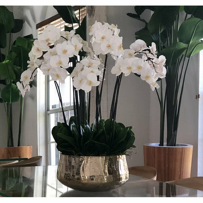 Phalaenopsis Orchids Floral Arrangement in Large Gold Planter