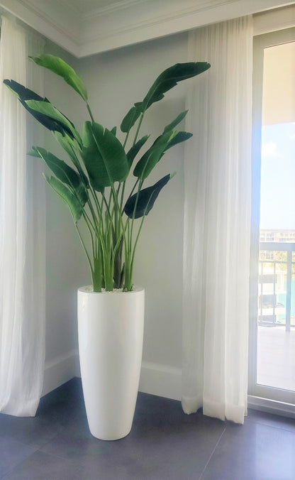 7 ft Bird of Paradise with Dax L Planter