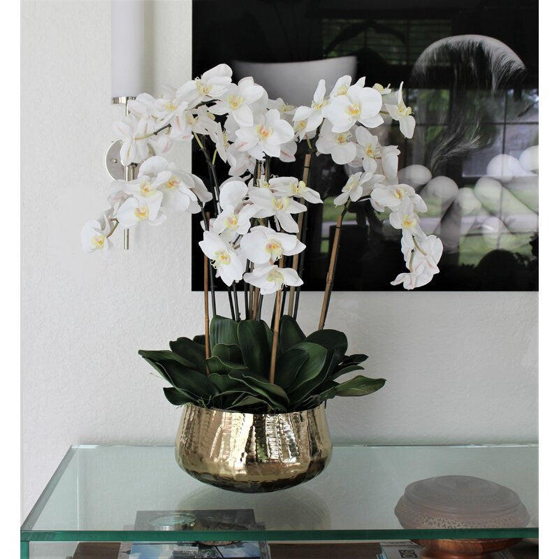 Phalaenopsis Orchids Floral Arrangement in Gold Planter