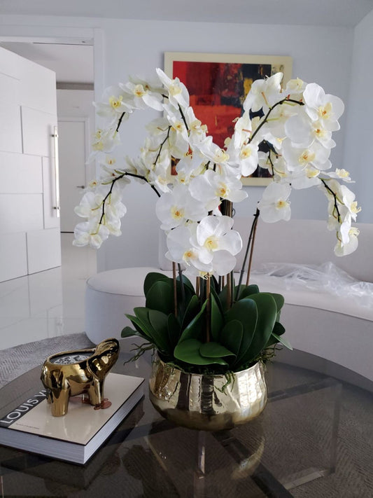 Phalaenopsis Orchids Floral Arrangement in Gold Planter