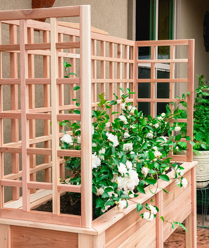 Natural Cedar Elevated Planter with U-Trellis