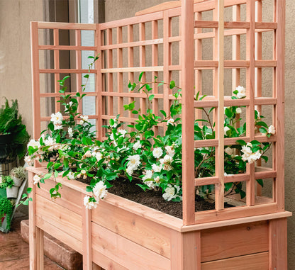 Natural Cedar Elevated Planter with U-Trellis