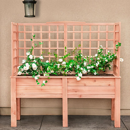 Natural Cedar Elevated Planter with U-Trellis