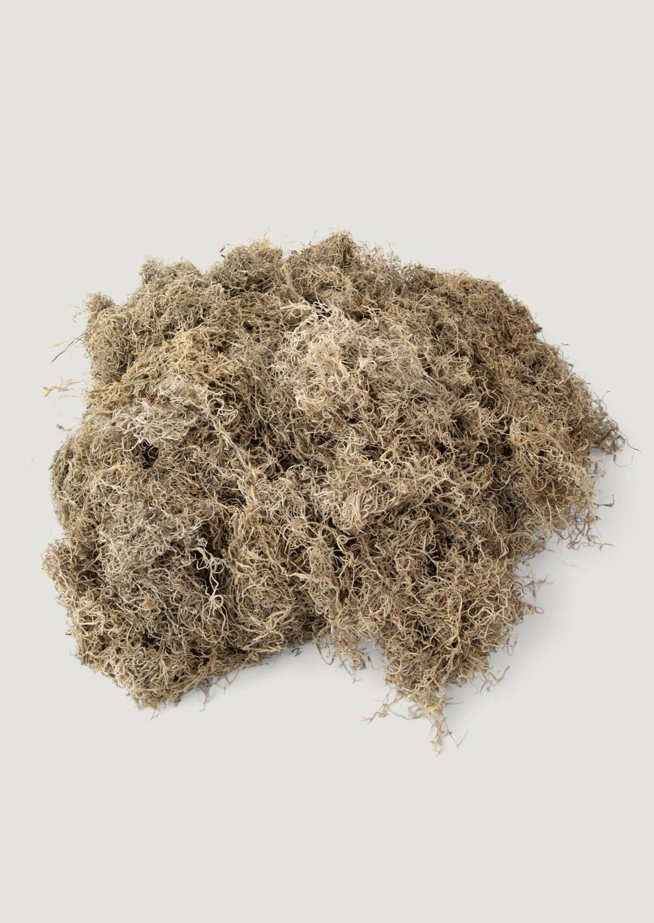 Natural Dried Spanish Moss