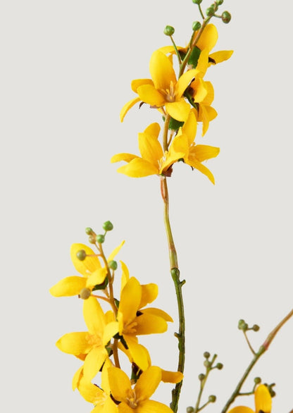 Tall Faux Forsythia Branch in Yellow - 53"