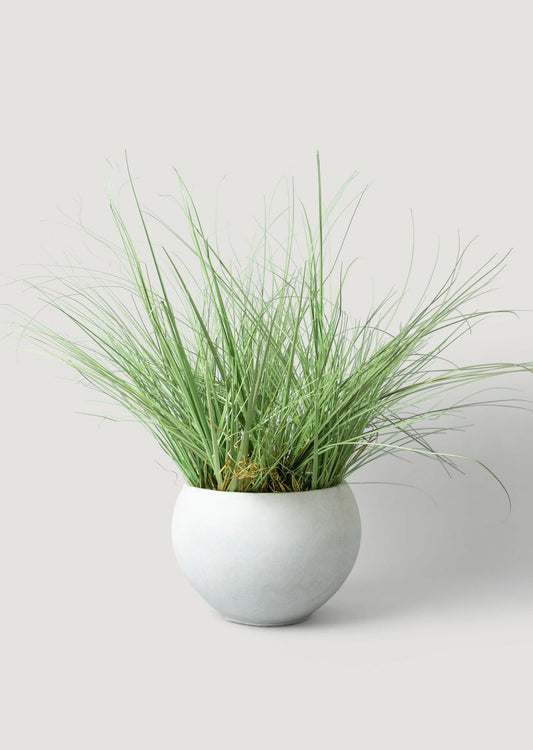 Artificial Potted Grass Plant in Cement Pot - 44" For Indoor/Covered Outdoor Patio