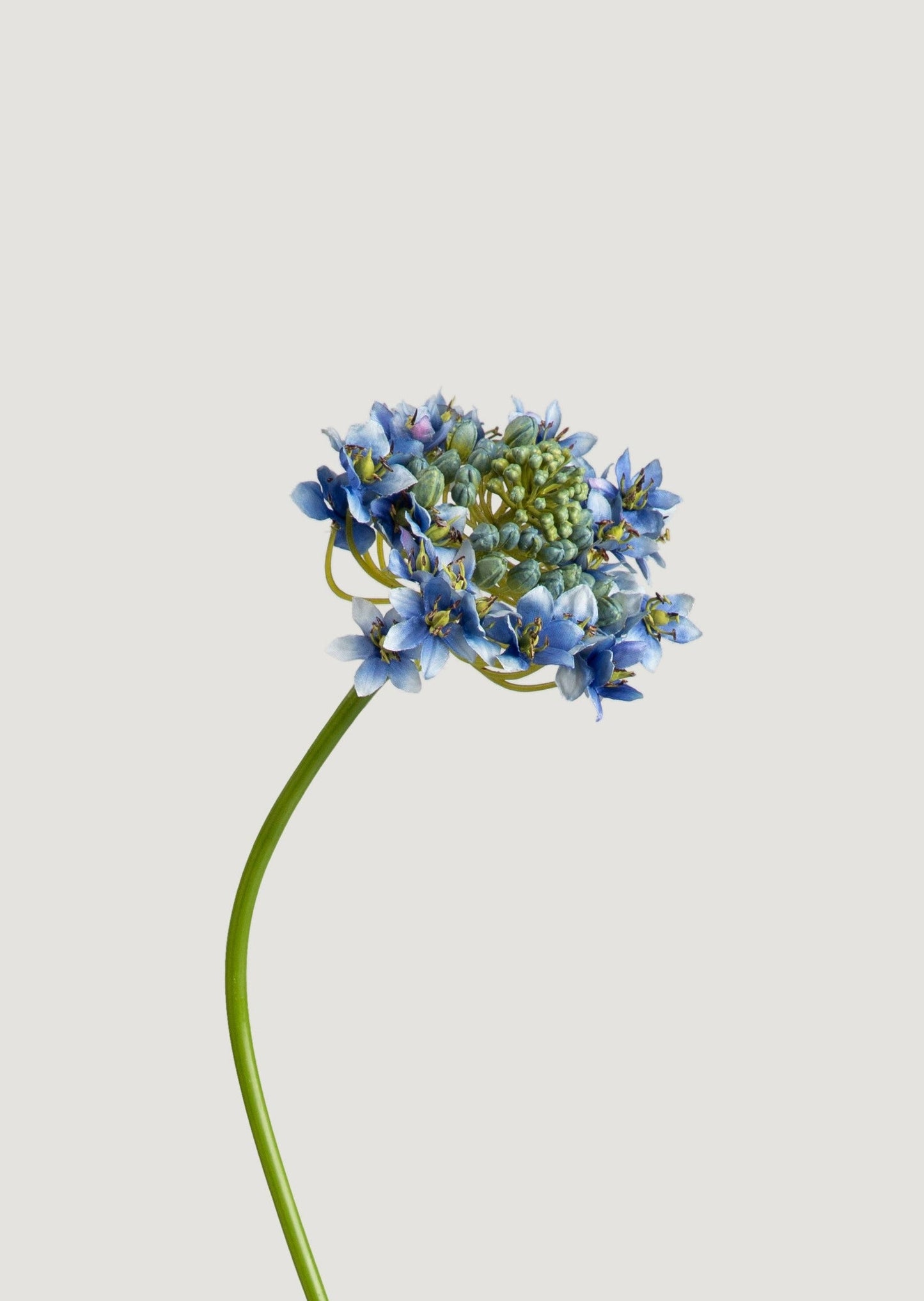 Faux Agapanthus Flower in Blue - 30"