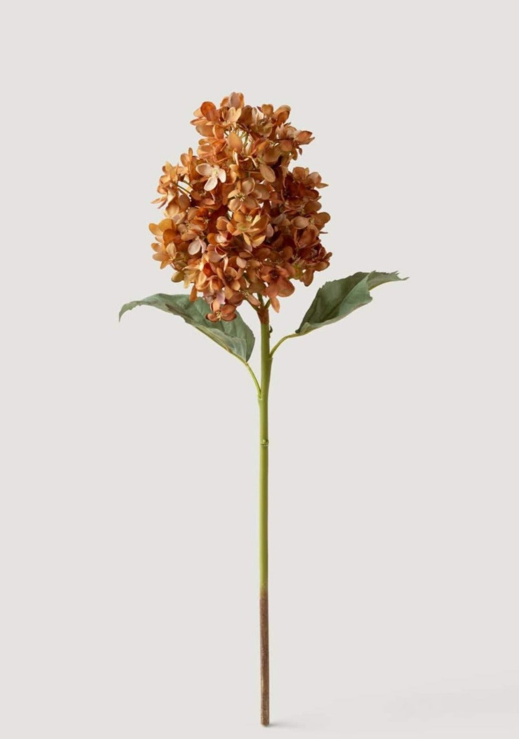 Dried Look Fake Cone Hydrangea Stem in Autumn  - 23"