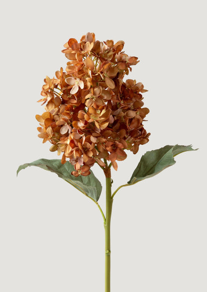 Dried Look Fake Cone Hydrangea Stem in Autumn  - 23"