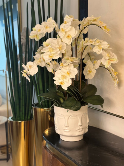 Visage Vase (White) with Orchids