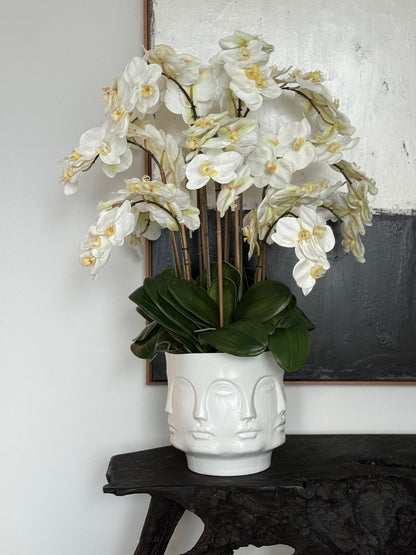 Visage Vase (White) with Orchids