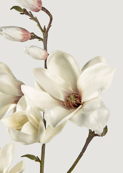 Faux Blooming Magnolia Branch - 35"