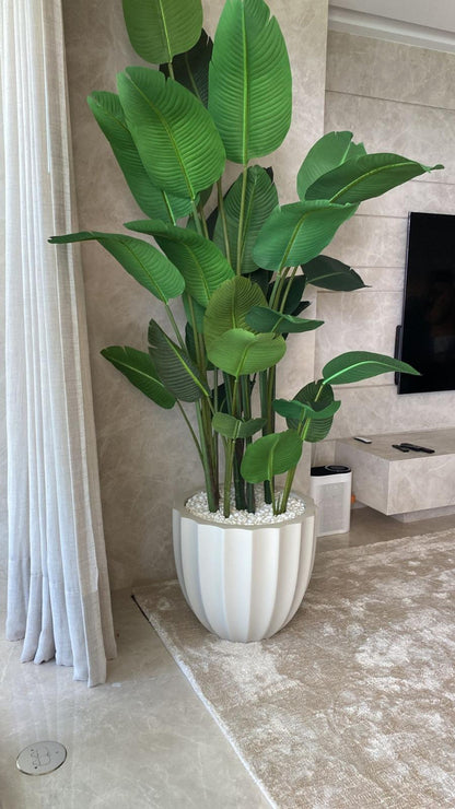 Matte Beige Santa Barbara Planter with Bird of Paradise