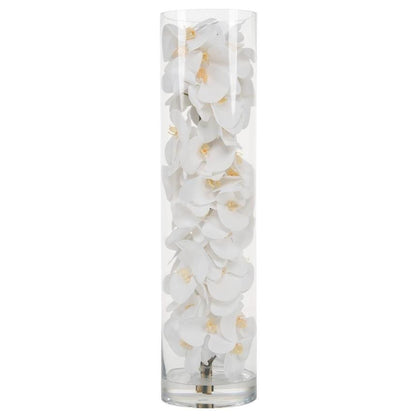 Glass Cylinder With White Phalaenopsis Orchids