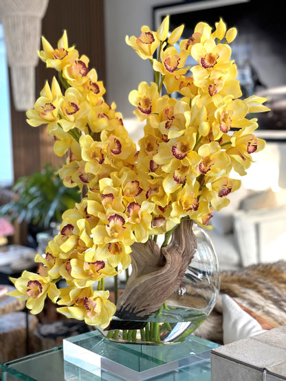 Yellow Cymbidiums in Moon Vase