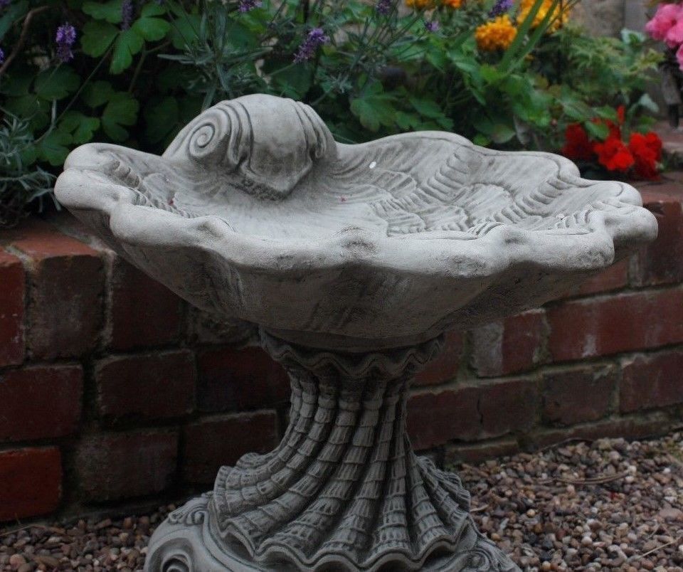 Stunning Stone Shell Sculpture Garden Bird Bath