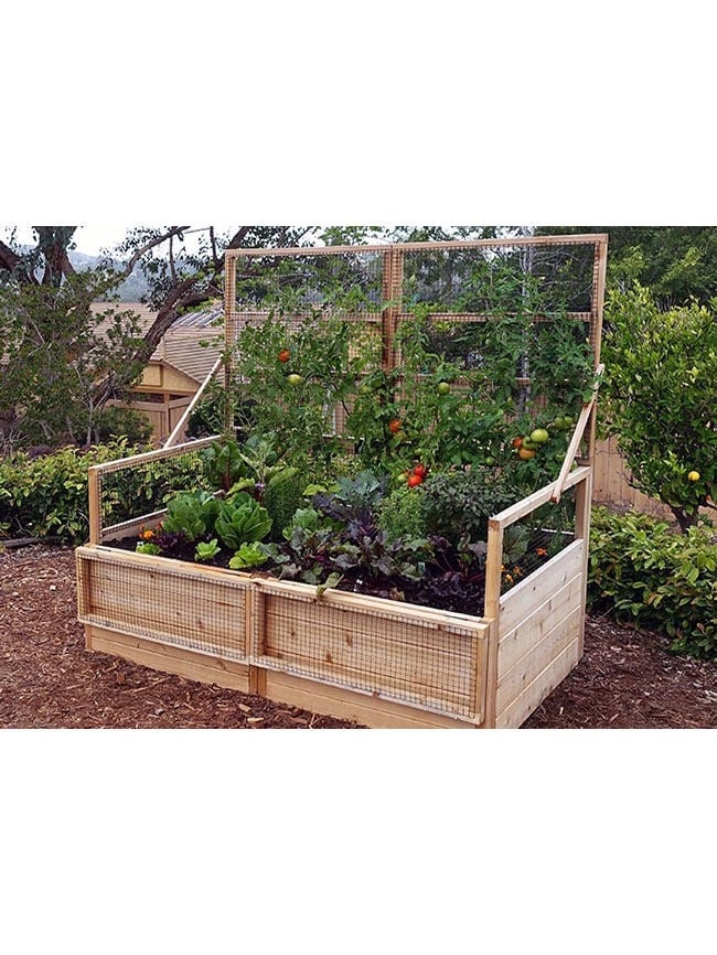 Garden in a Box with Trellis/Lid Option, 3' x 6'