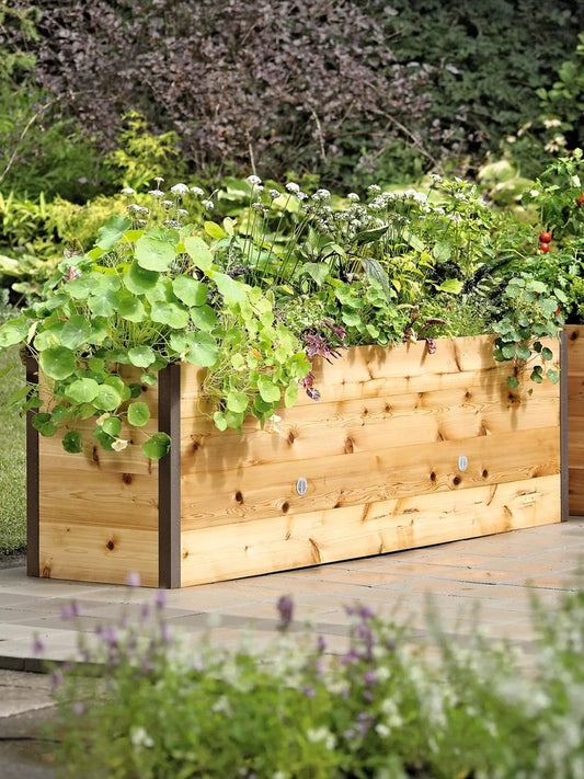 Elevated Raised Bed, 2' x 8''