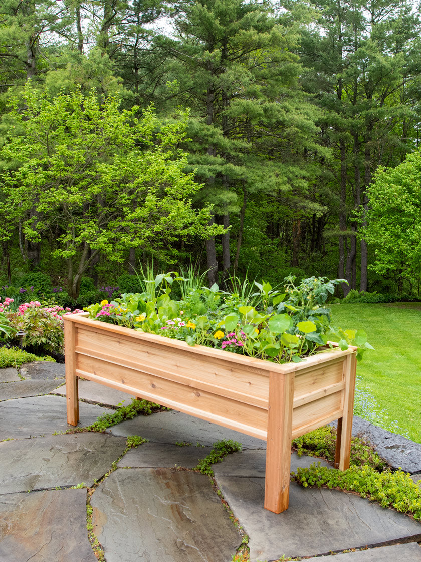 Craftsbury Elevated Raised Beds