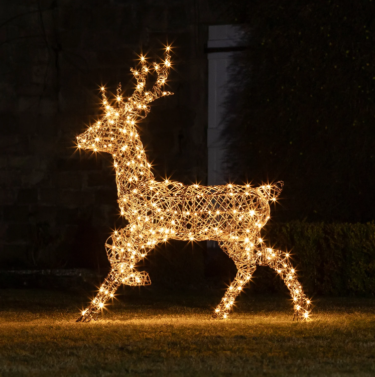 Studley Rattan Stag Light Up Reindeer 24v