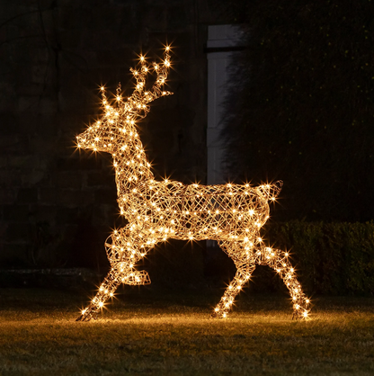 Studley Rattan Stag Light Up Reindeer 24v