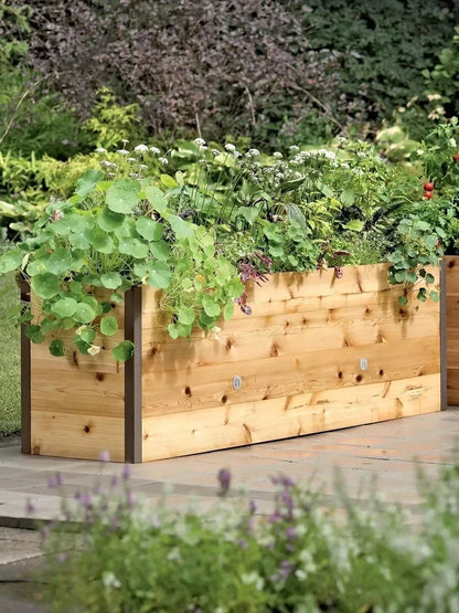 Flash sale ⚡Limited Stock💥Self-Watering Eco-Stained Elevated Planter Box⭐