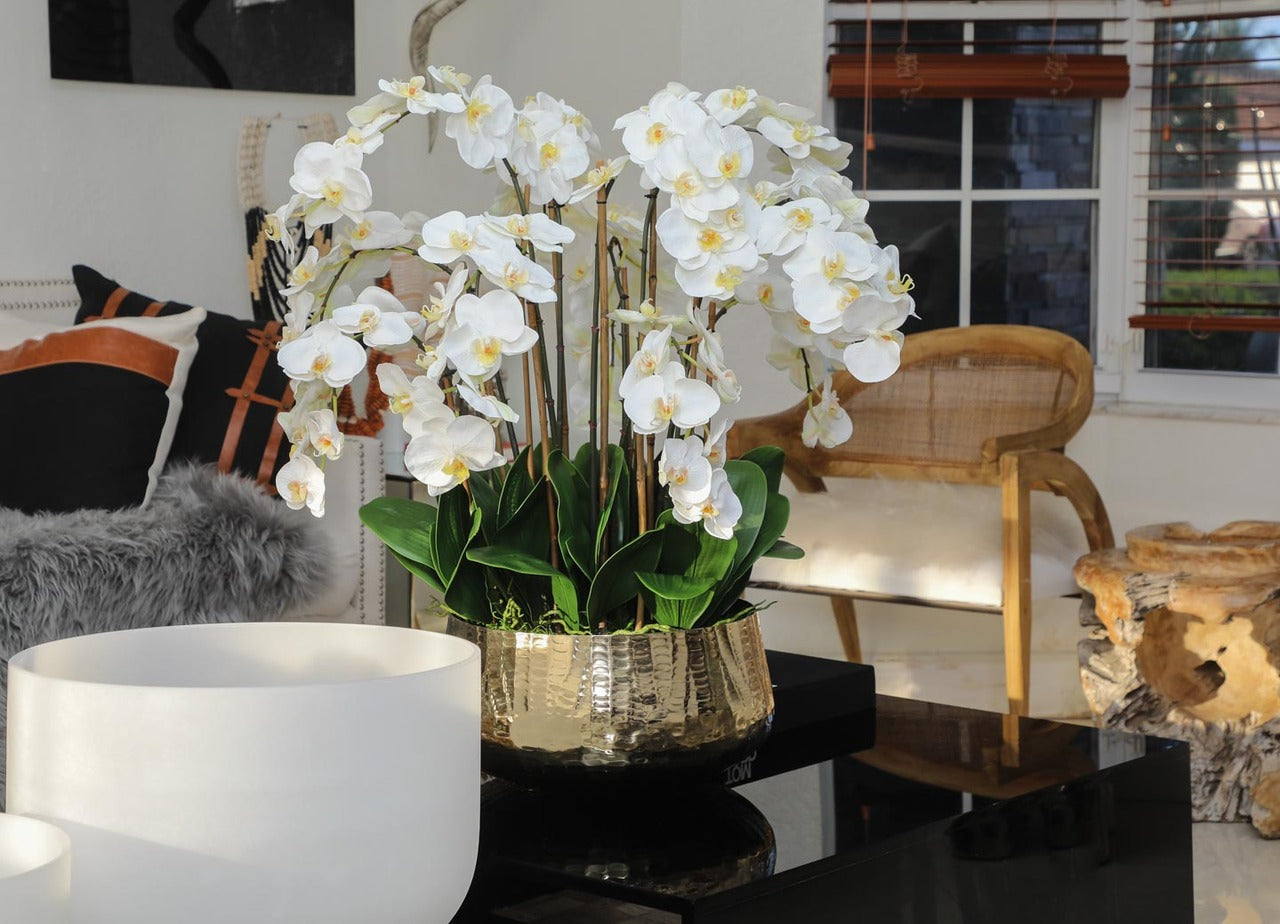 Phalaenopsis Orchids Floral Arrangement in Large Gold Planter