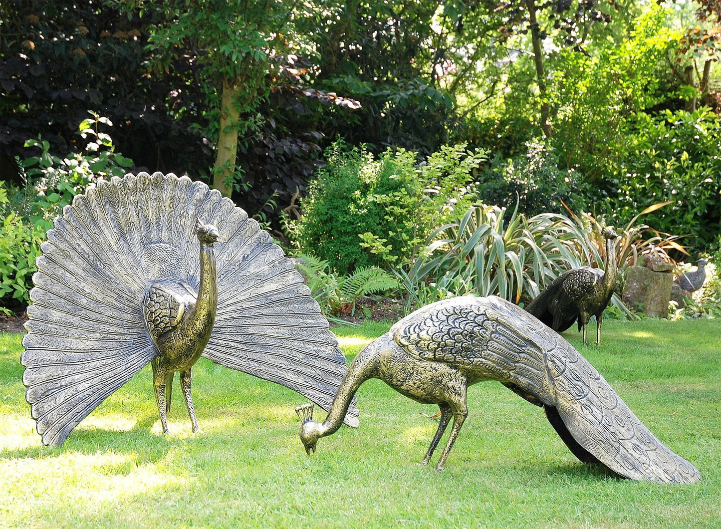 Majestic Peacocks (Set of 2)