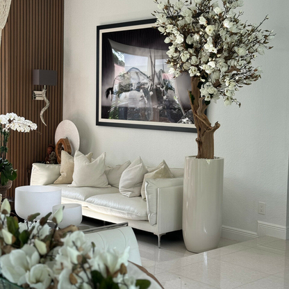 Most popular 8ft white magnolia tree in glossy beige st tropez planter