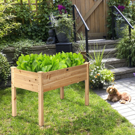 Wood Raised Garden Bed Elevated Planter Box with Legs