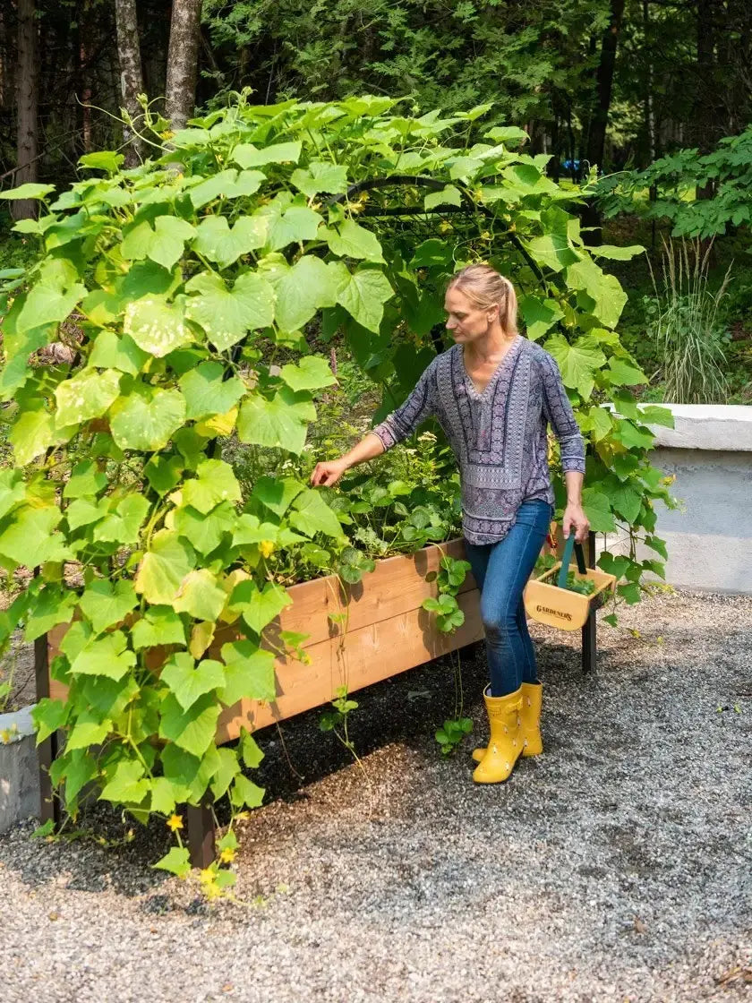 Flash sale ⚡ Limited Stock 💥Planter Box with Arch Trellis - Big Box Retailer