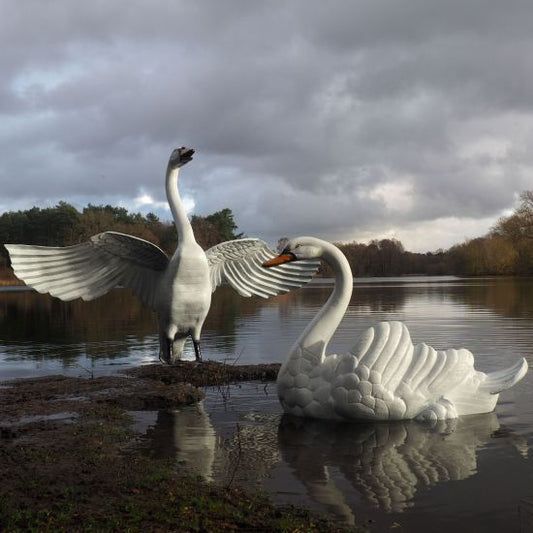 Grand Pair of Swans Metal Garden Statues