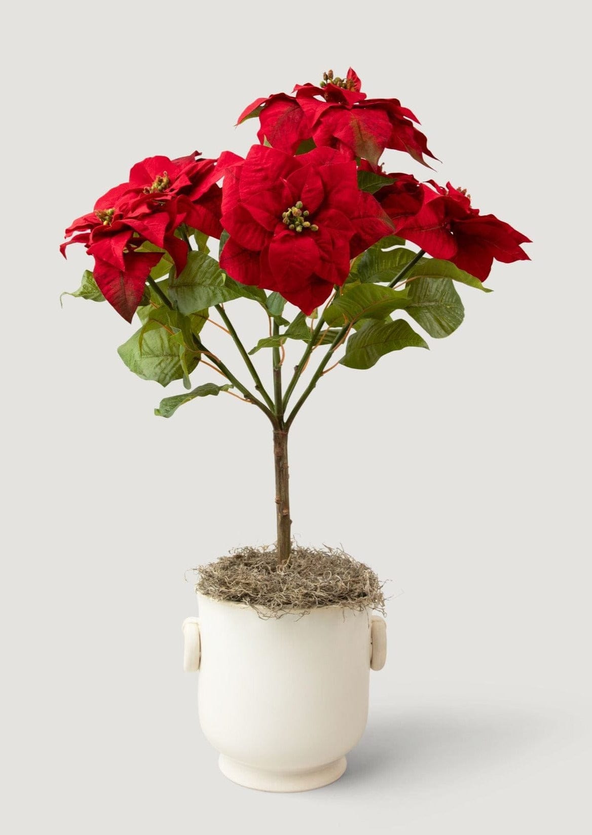 Faux Tabletop Poinsettia Tree - 36"