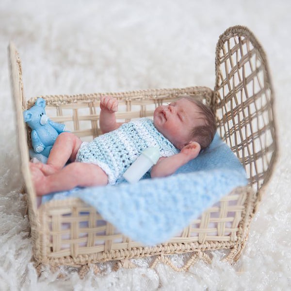 Miniature Doll Sleeping Full Body Silicone Reborn Baby Doll, 6 Inches Realistic Newborn Baby Boy or Girl Doll Named Sara