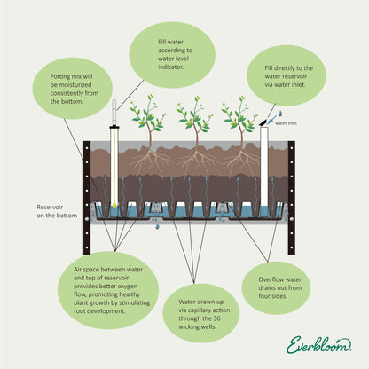 Self-watering Mobile Elevated Planter in Blue with Trellis