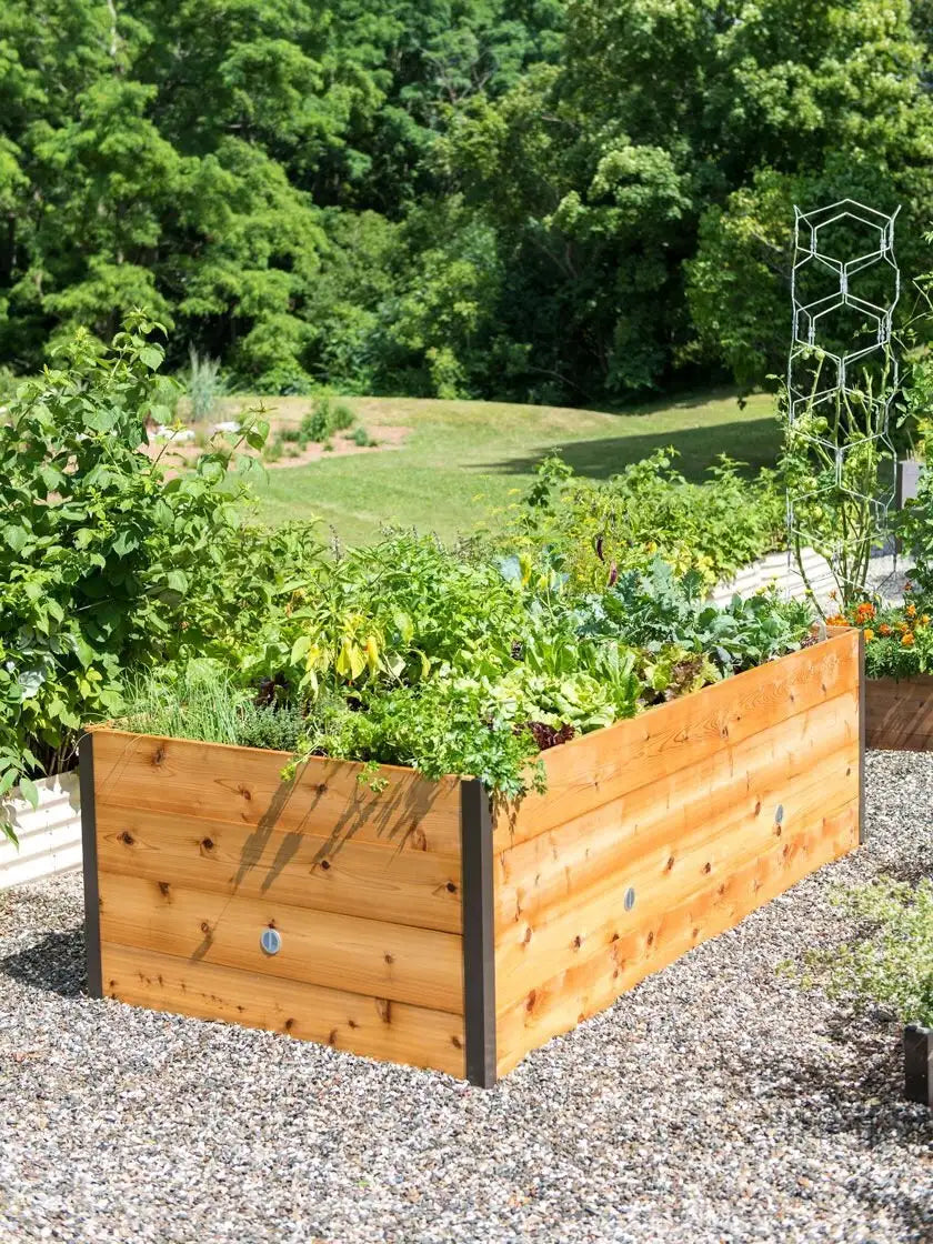 Elevated Raised Bed, 4' x 8'