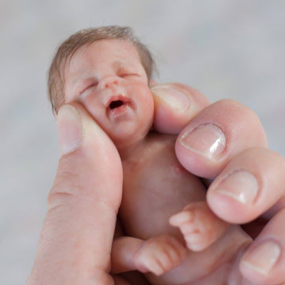 Miniature Doll Sleeping Full Body Silicone Reborn Baby Doll, 6 Inches Realistic Newborn Baby Boy or Girl Doll Named Andrea