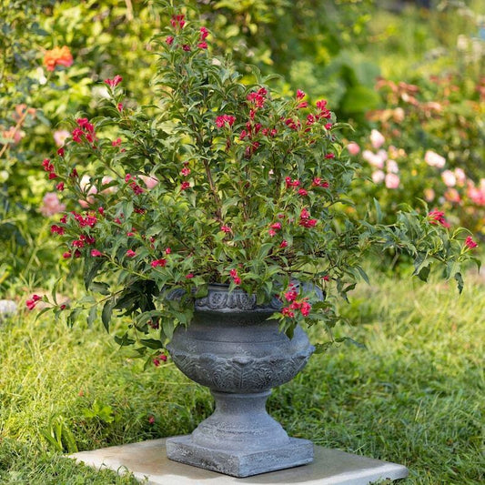 17 Inch Tall Urn Style Flower Planter Color Option