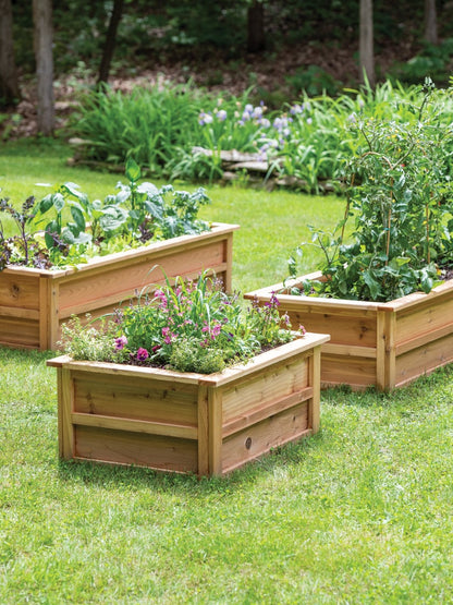 Raised Beds